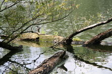 Naturschutzgebiet Kleiner Bodensee