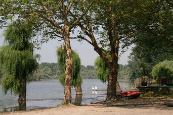 Der "Alte Hafen" in der Nähe der Rheinfähre in Leopoldshafen 