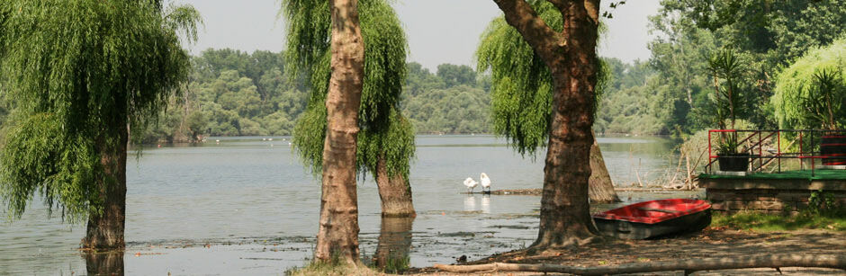 Bannerbild Alter Hafen