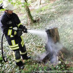 Brennender Baumstumpf im Bürgerpark