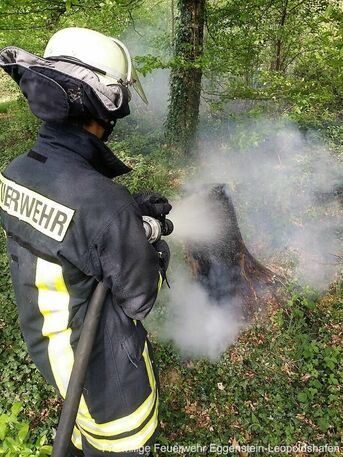 Brennender Baumstumpf