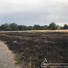 Flächenbrand im Ostring – Ortsteil Eggenstein