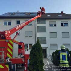 Tierrettung im Nordring