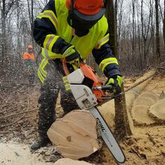 Motorsägenlehrgang erfolgreich absolviert