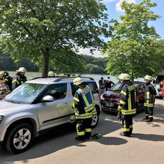 Tierrettung am Rhein