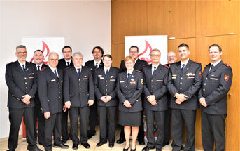 Der gewählte Ausschuss der Abteilung 