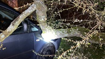 Sturmschaden an einem PKW