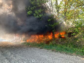 Brand des Waldrandes 