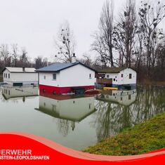 Rheinhochwasser in Eggenstein-Leopoldshafen