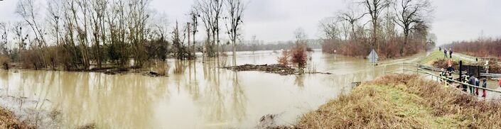 Weg zur Rheinfähre unter Wasser Januar 2018, Foto Feuerwehr