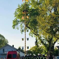 Der Mai ist gekommen 