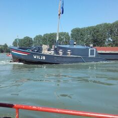 Schiffshavarie auf dem Rhein – Höhe Rheinstrandbad Rappenwört