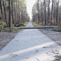 Einsatzserie nach Sturmtief „Eberhard“ forderte die Feuerwehr Eggenstein-Leopoldshafen 