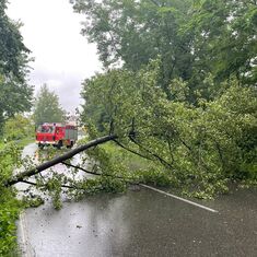 Wasserschaden im Gebäude sowie Baum über der Straße in der Hauptstraße 
