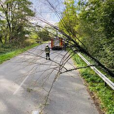 Baum über Fahrbahn auf K3580 