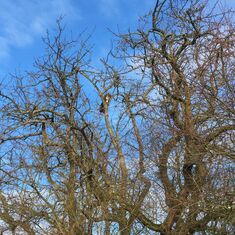 Tierrettung im Durlacher Weg