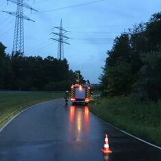 „Kleine Hilfeleistung – Baum entfernen“