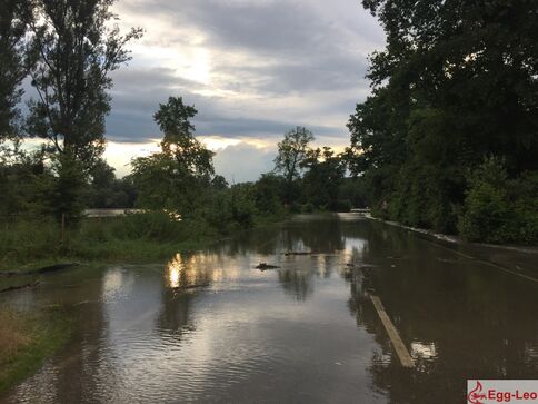 Hochwasser am Rhein