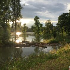 Rheinhochwasser  – Kontrolle der Rheindeiche