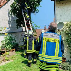 Tierrettung klein in der Moltkestraße / Ortsteil Eggenstein