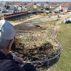 Feuerwehr im Naturschutzeinsatz