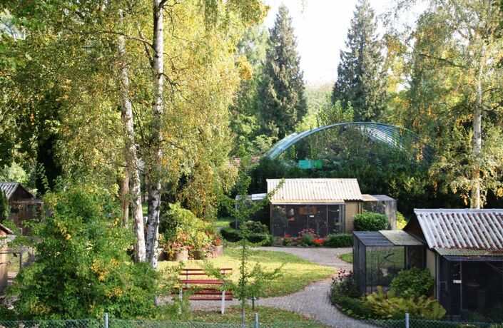 Die Vogelfreunde planen auch in 2020 rund 40.000 Euro in den schönen Vogelpark zu investieren. Als viel gefragte Freizeiteinrichtung in unserer Gemeinde bekommen die Vogelfreunde für den Park eine höhere Investitionsförderung und eine Pauschale für die Unterhaltung in 2020 i.H.v. 4.000 € und in 2021 von 6.000 €.