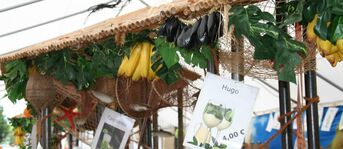 Mit Liebe dekoriert und lecker zubereitet - die erfrischenden Cocktails beim Straßenfest 