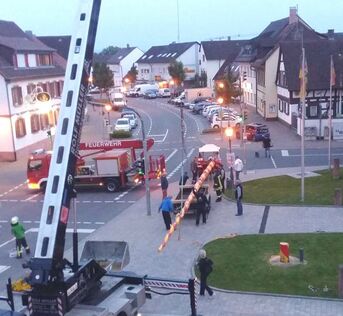 Foto: P. Schäffner, abgesägter Baum zum Abtransportieren auf Hänger