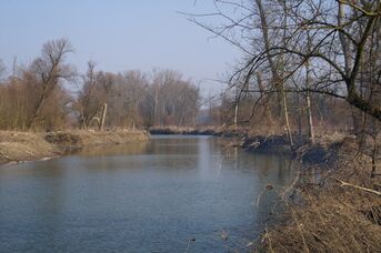 Ansicht vom Langen Loch nach einem Arbeitseinsatz, bei dem Treibgut und Müll mühsam beseitigt wurde.