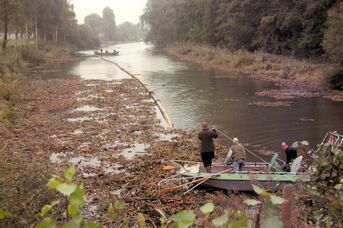 Bild 1 bis 3 Gewässerentschlammung Oberaltrhein im Jahre 2005