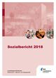 Sozialbericht 2018 