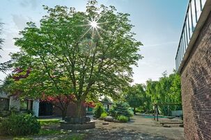 Außengelände des Kindergarten Spielkiste