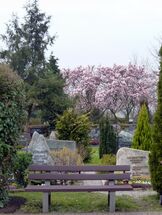 Firedhof - eine Stätte der Ruhe und Begegnung, Foto Ralf Schreck