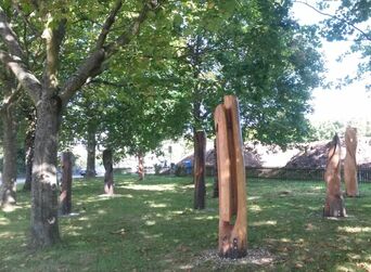 Schattenspende Bäume und Skulpturenpark bleiben erhalten