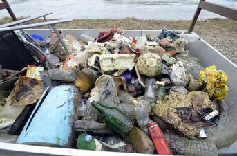 Rheinputz bei Niedrigwasser Foto Ralf Schreck