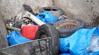 Rheinputz bei Niedrigwasser 04.02.2017, Foto Dr. Pia Lipp