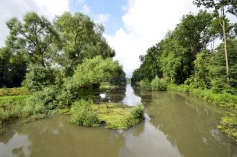 Albrenaturierung, Foto Ralf Schreck 2016