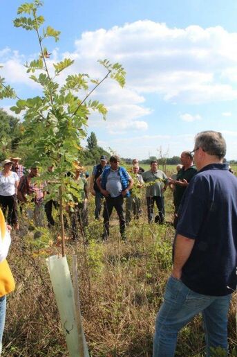 Waldbegang 2018: Stopp beim Jubiläumswald im Kopfweg, Nähe Bellebrücke 