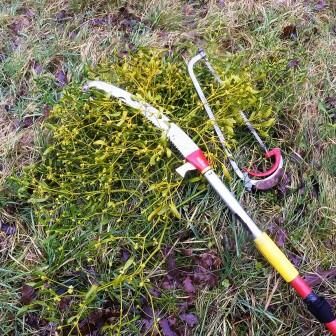 Foto Geräte Säge Astschere