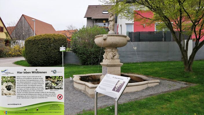 Wildbienenschild am Esser-Brunnen, Foto Ralf Schreck AGU