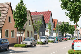 Am 3. Mai wurden die Bäume - wie immer - nachgepflanzt. Sie sind im Vergleich zu den anderen schon deutlich kleiner.