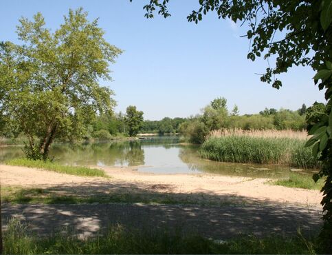 Baggersee Fuchs & Gros 2017