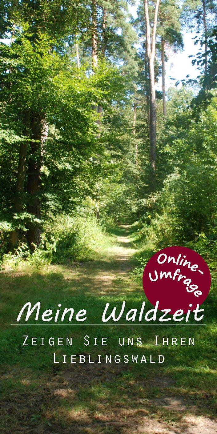 Online-Umfrage zur Waldnutzung