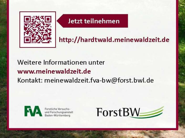 Online-Umfrage zur Waldnutzung
