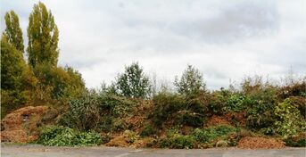 Grünabfallsammelplatz bzw. Kompostplatz beim Klärwerk