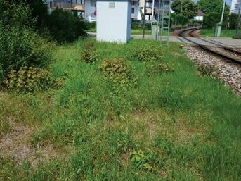 Fläche bei der Straßenbahnhaltestelle Viermorgen