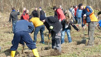 Alle packten mit an - es galt 6.000 Bäume und Sträucher zu setzen. Foto: Ralf Schreck, Film-AG