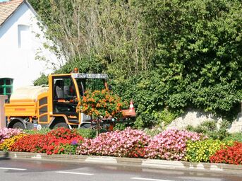 Ausgewählte Flächen werden repräsentativ bepflanzt