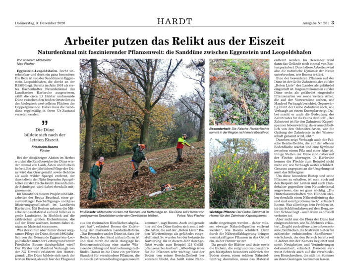 Foto BNN-Artikel von Nico Fischer Naturdenkmal Sanddüne 03.12.2020, mit freundlicher Genehmigung der BNN