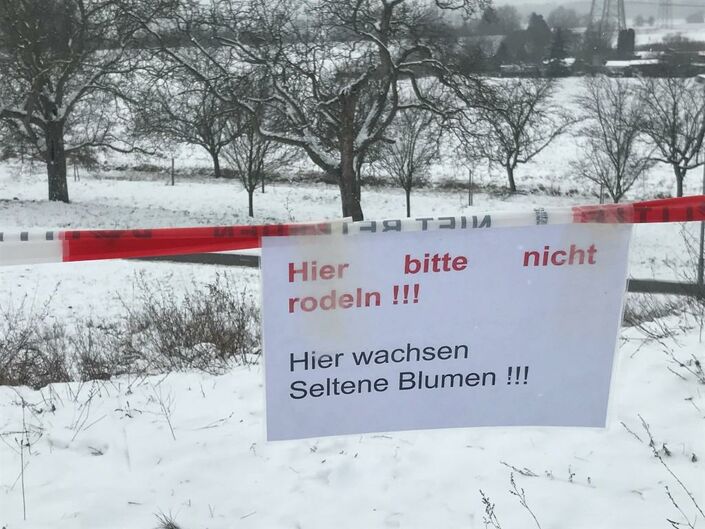 Foto Naturdenkmal Sanddüne 10.02.2021 bitte nicht rodeln